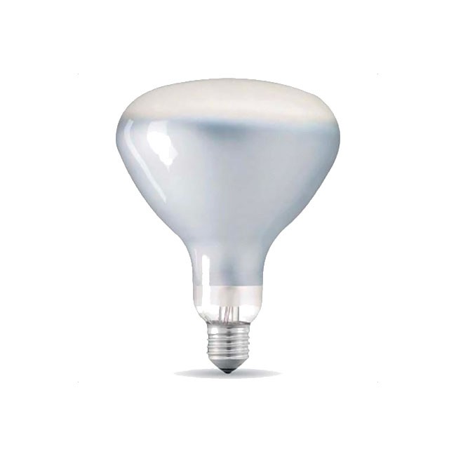 플로스 루미네이터 파렌티지 전용 전구 LED E26 13W 220~240V 27K R125 WB.KC