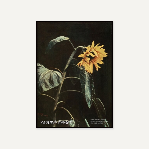 그릿시즌 존 허츠버그 / John Hertzberg, 1903 (액자포함, 50x70)