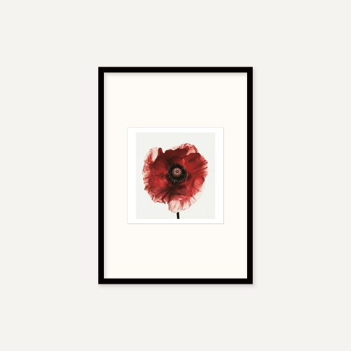 그릿시즌 어빙 펜 / Poppy : Burgundy, 1968 (액자포함, 21x30)