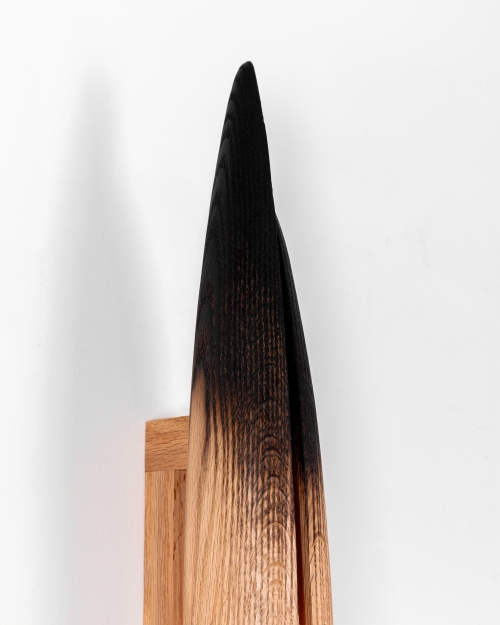 Chlorosis Series Wall lighting