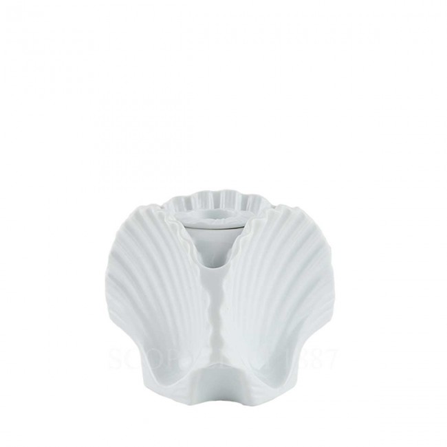 GINORI 1735 Ginori 캔들 홀더 Seashell 화이트 il Viaggio di Nettuno Ginori 1735 Ginori Candleholder Seashell White il Viaggio di Nettuno 01078