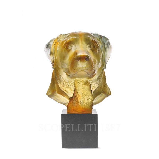 DAUM Dandys Gaspard Retriever Amber 리미티드 에디션 Daum Dandys Gaspard Retriever Amber Limited Edition 02584