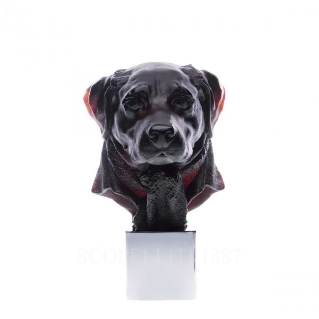 DAUM Dandys Gaspard Retriever 블랙 리미티드 에디션 Daum Dandys Gaspard Retriever Black Limited Edition 02583