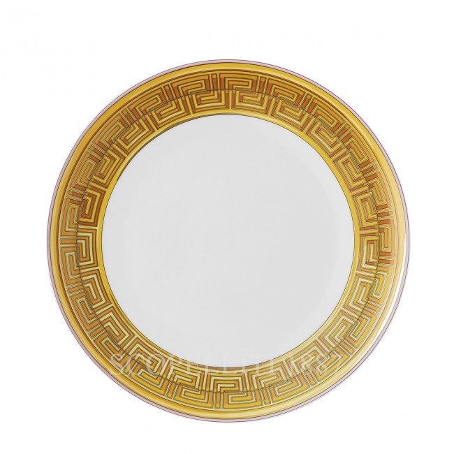 베르사체 디너접시 메두사 Amplified 핑크 Coin Versace Dinner Plate Medusa Amplified Pink Coin 02425