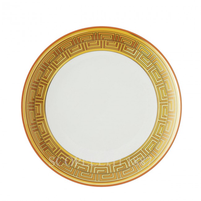 베르사체 디너접시 메두사 Amplified 오렌지 Coin Versace Dinner Plate Medusa Amplified Orange Coin 02424