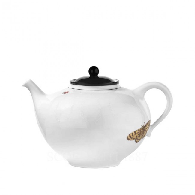 GINORI 1735 Ginori 티포트 Arcadia 화이트 Ginori 1735 Ginori Teapot Arcadia White 01055