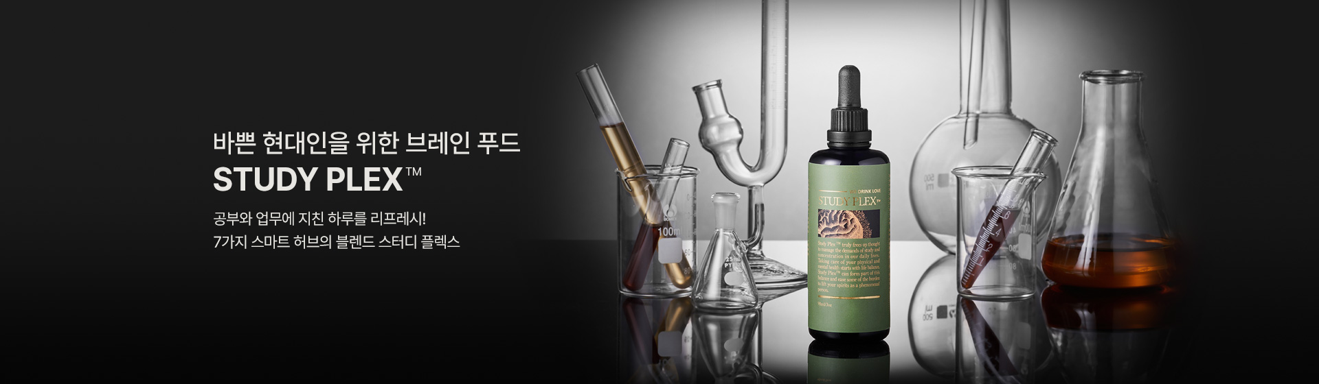 스터디 플렉스