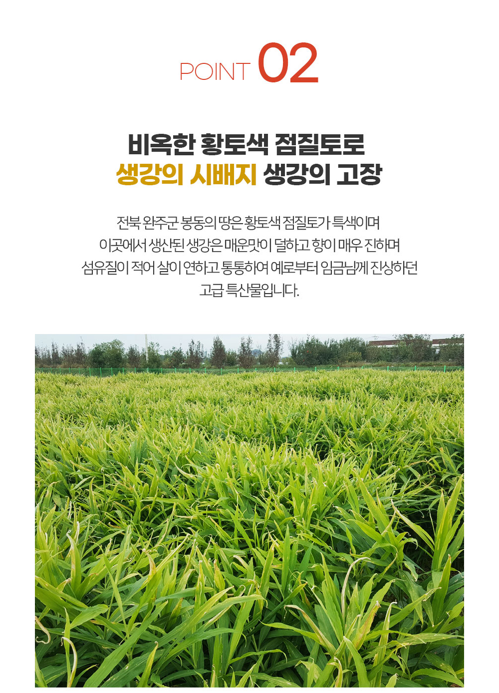 화장품 상품 이미지-S1L14