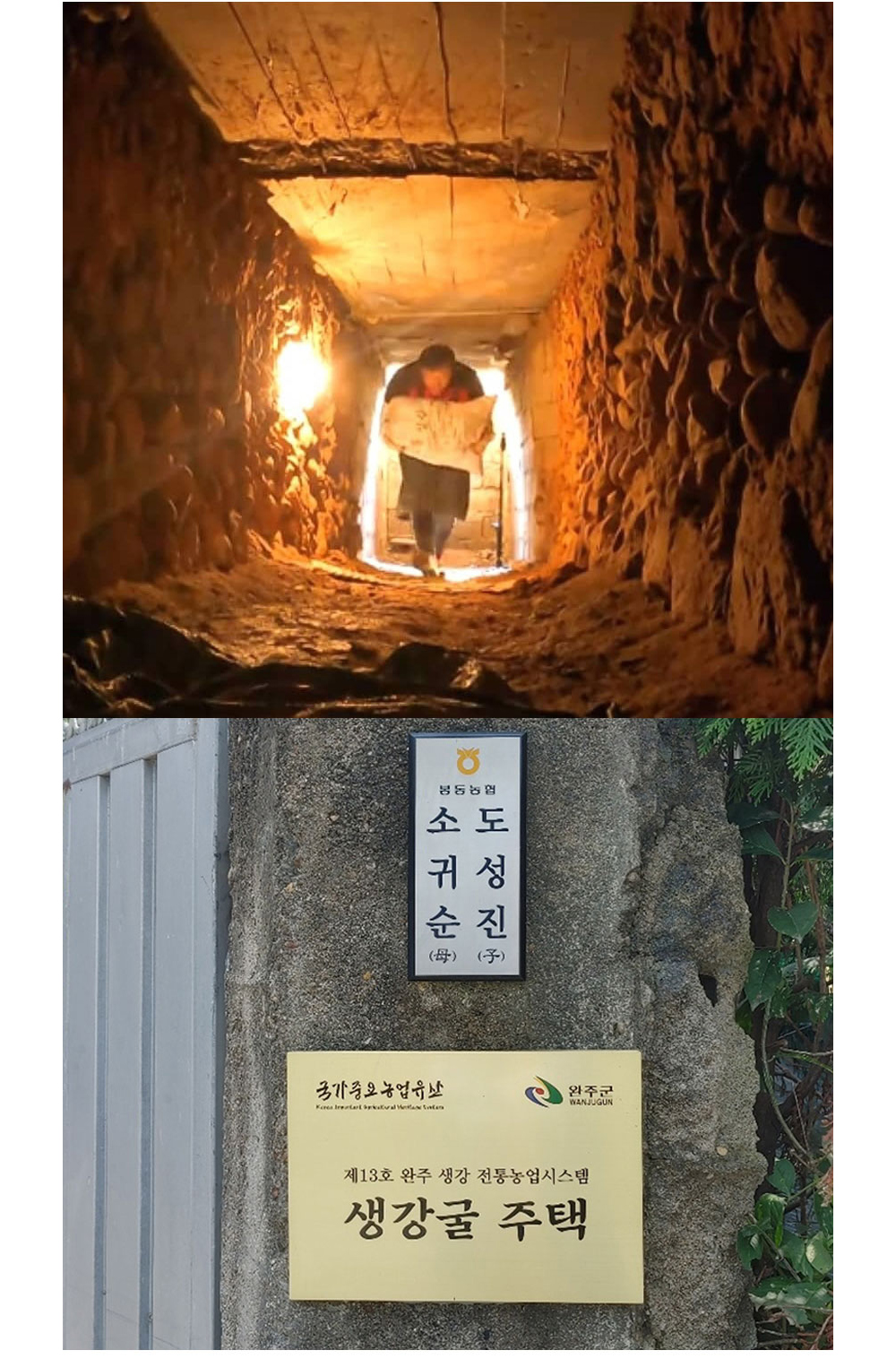 화장품 상품상세 이미지-S1L13