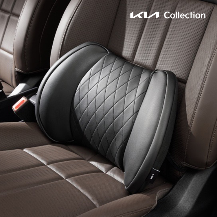 프리미엄 허리 등받이 쿠션, PV5