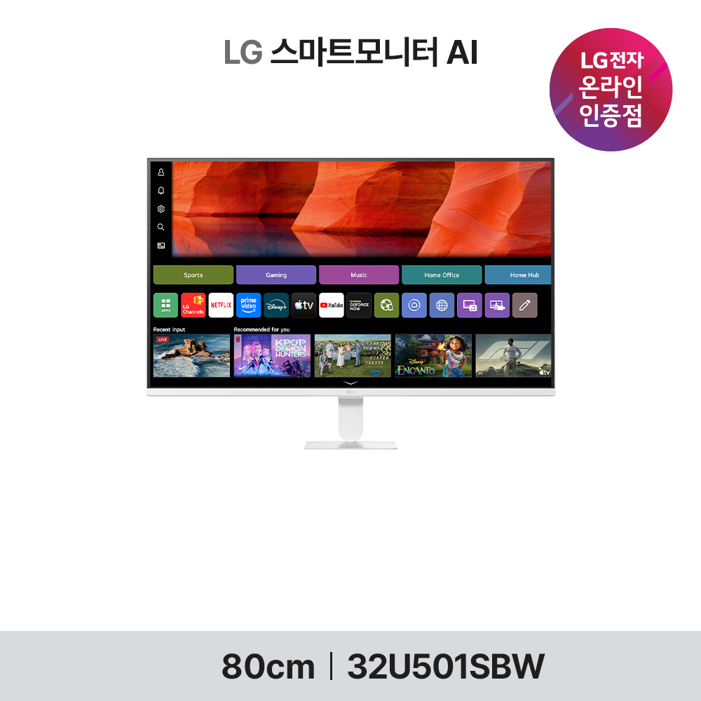 LG 32U501SBW 32인치 스마트 모니터