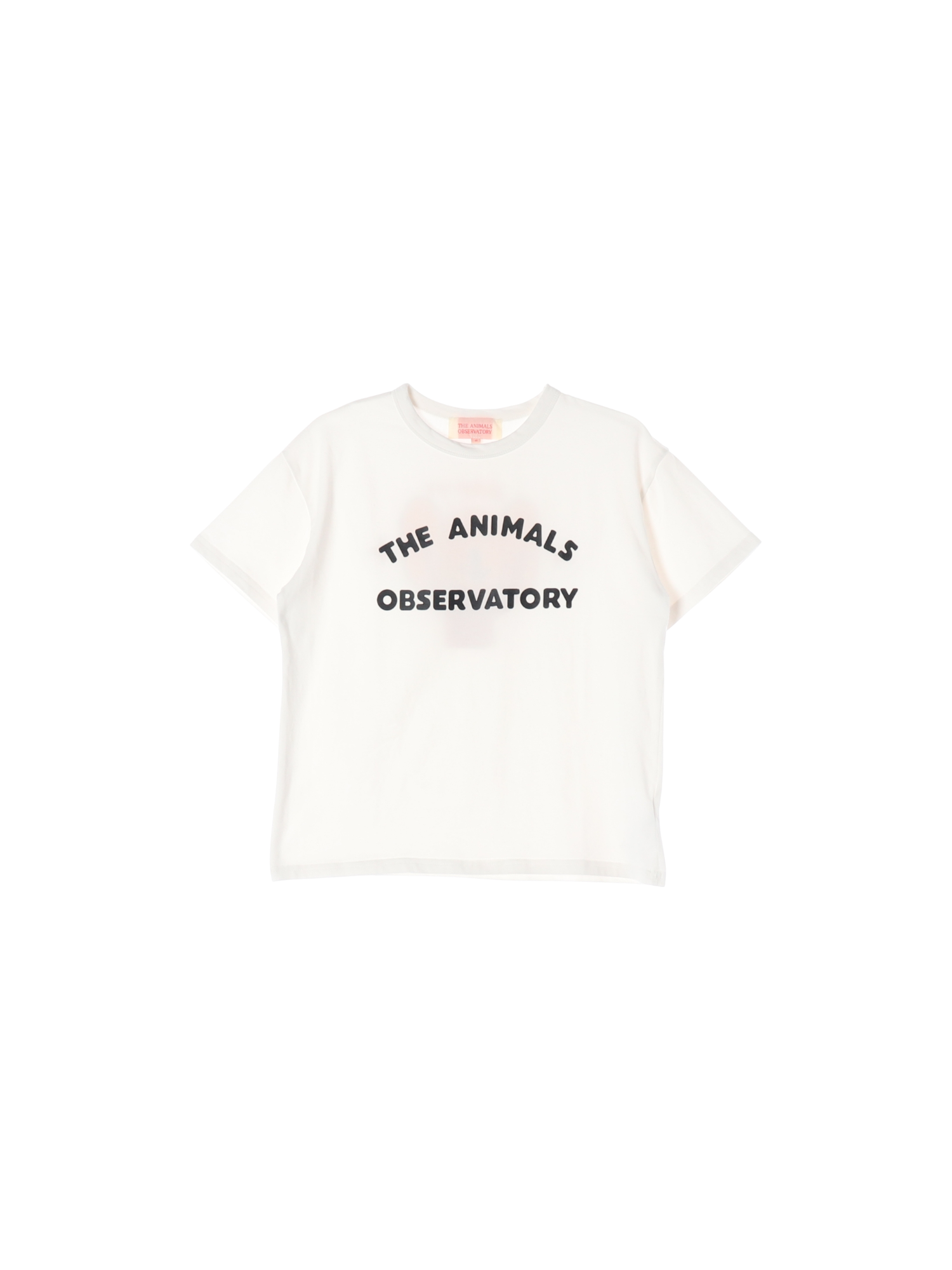 타오 드롭숄더 화이트 티셔츠 12y 0