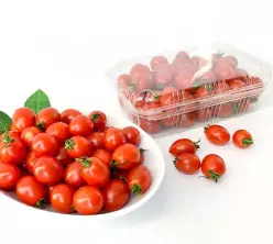 건조 대추방울토마토 100g