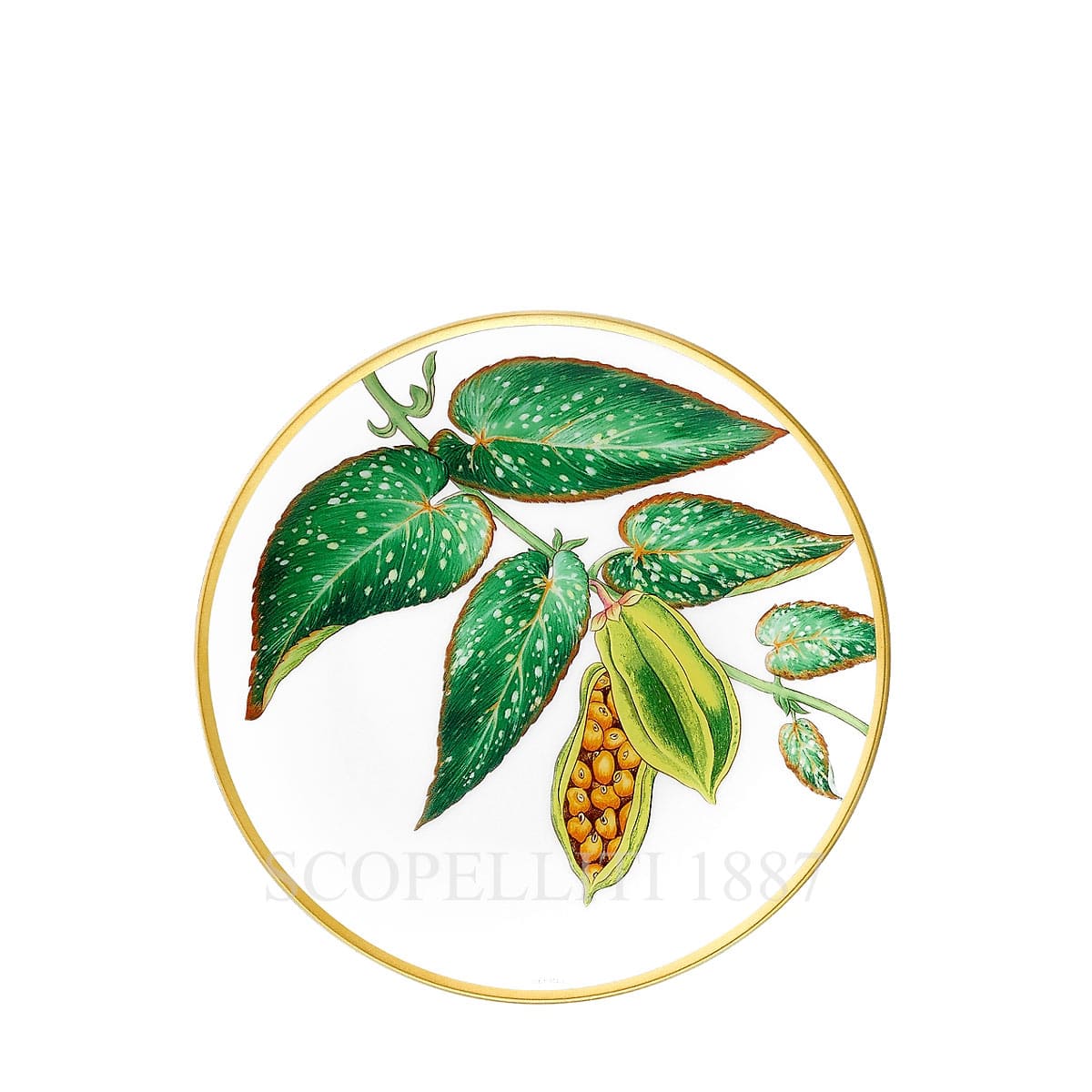 Hermes Passifolia Bread Plate Tamaya 1