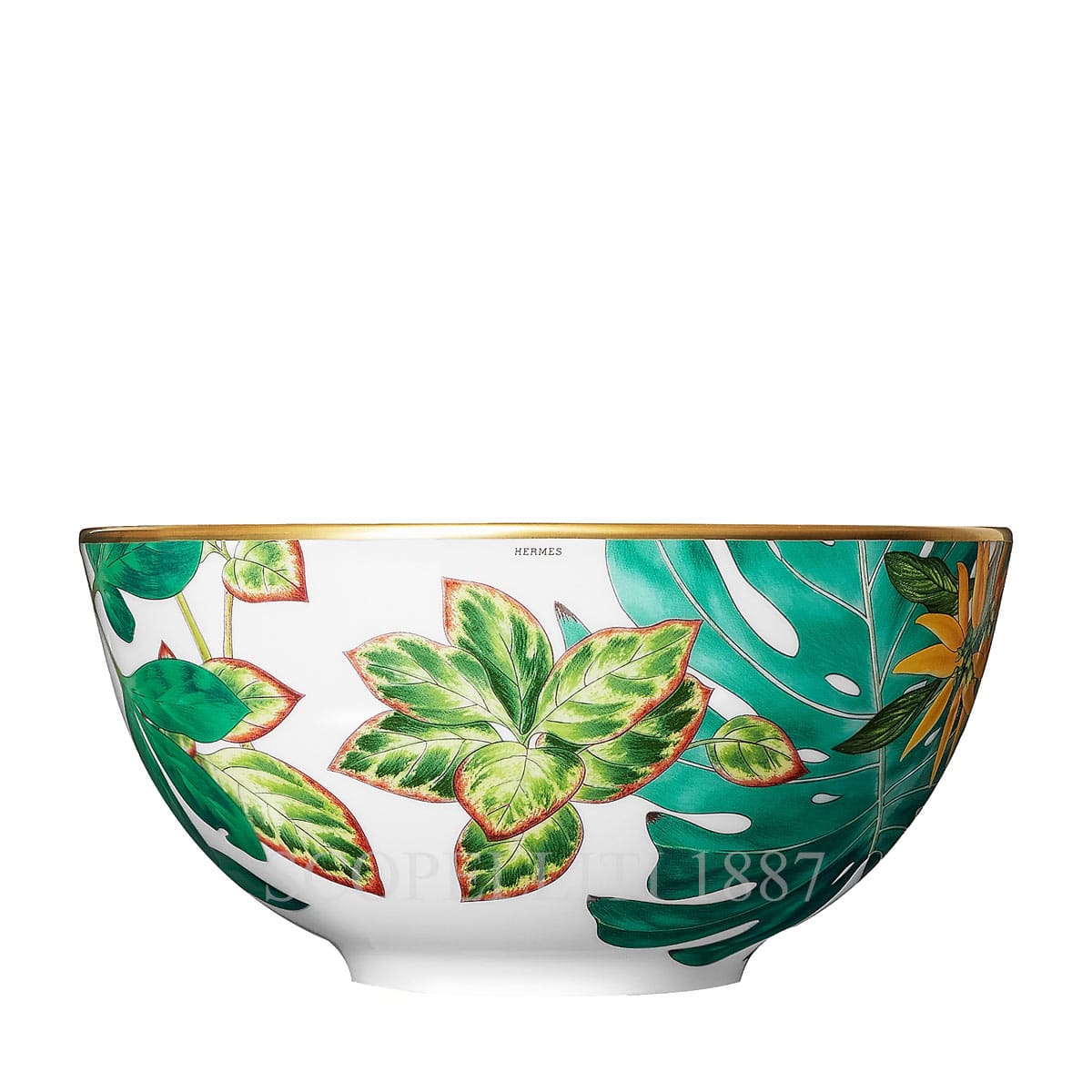 Hermes Passifolia Bowl Large 2