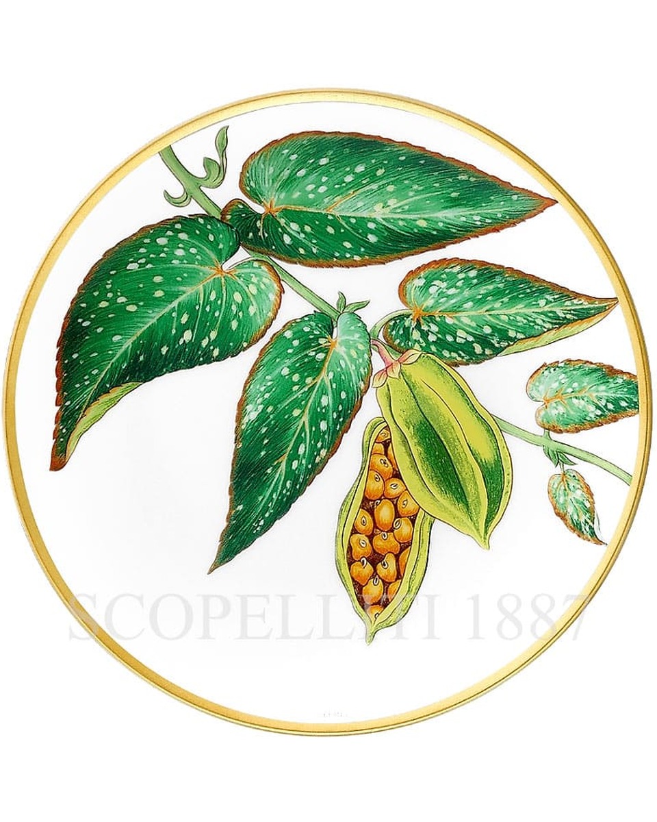에르메스 Passifolia Bread Plate Tamaya 044012P