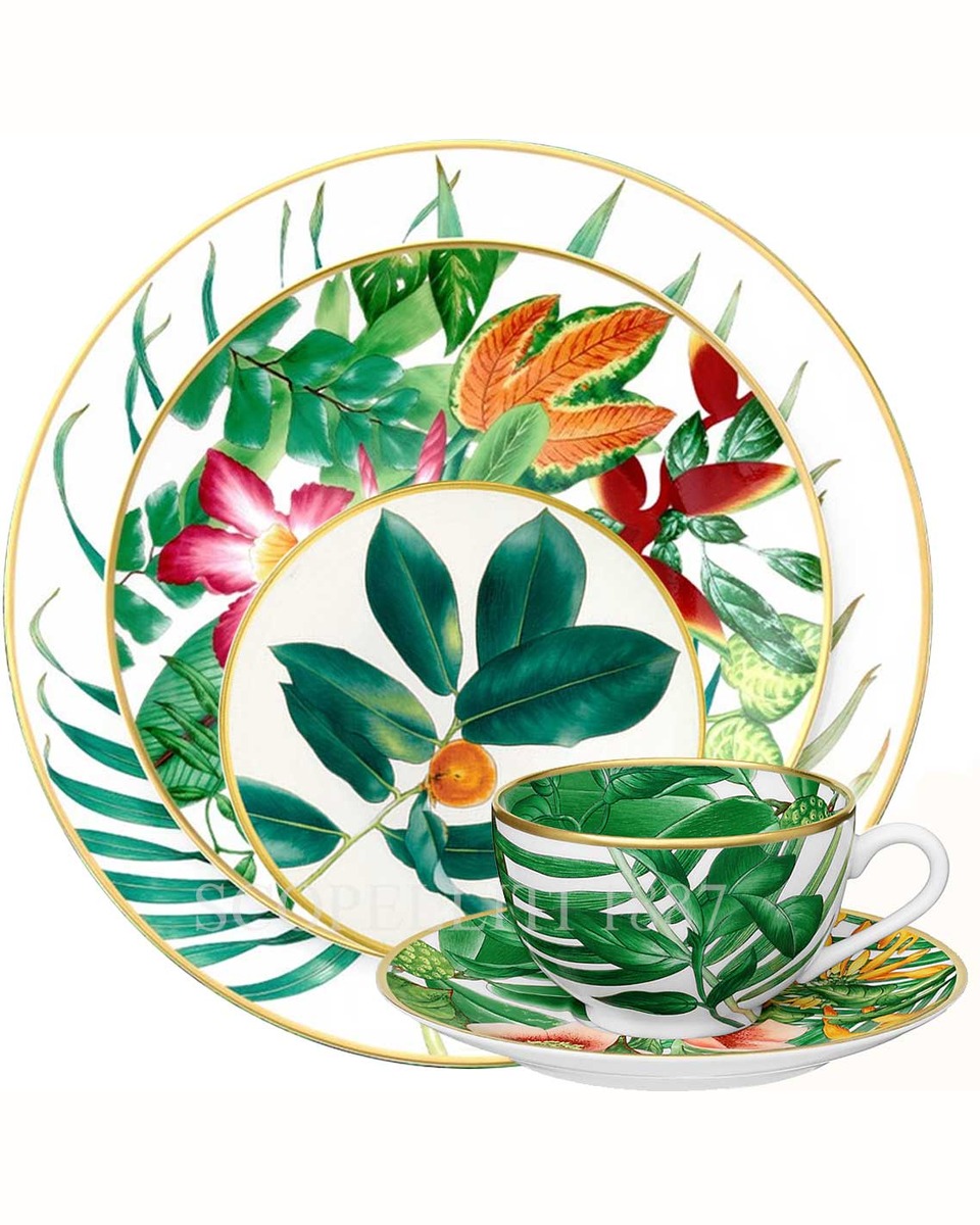 에르메스 Dinner Set Passifolia scopel-27