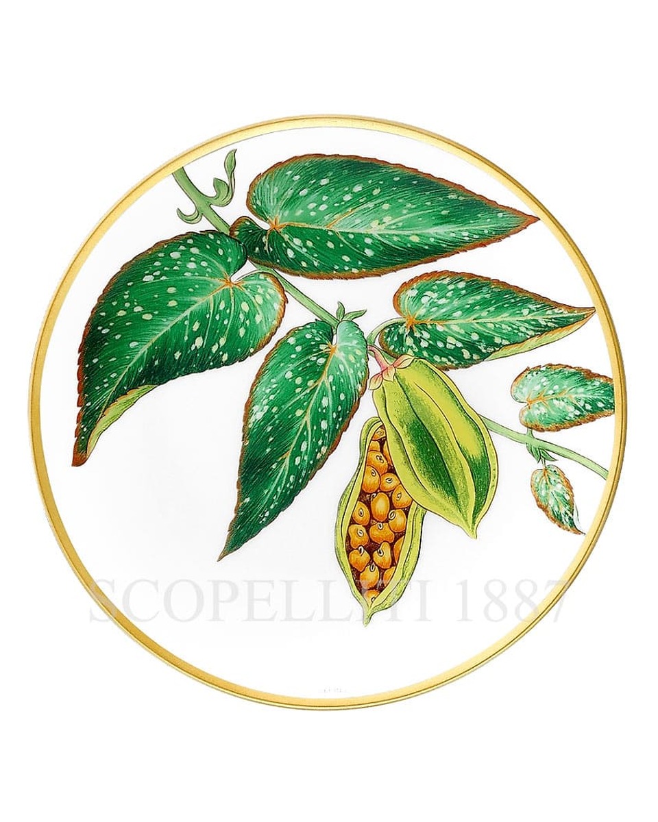 에르메스 Passifolia Bread Plate Tamaya 044012P