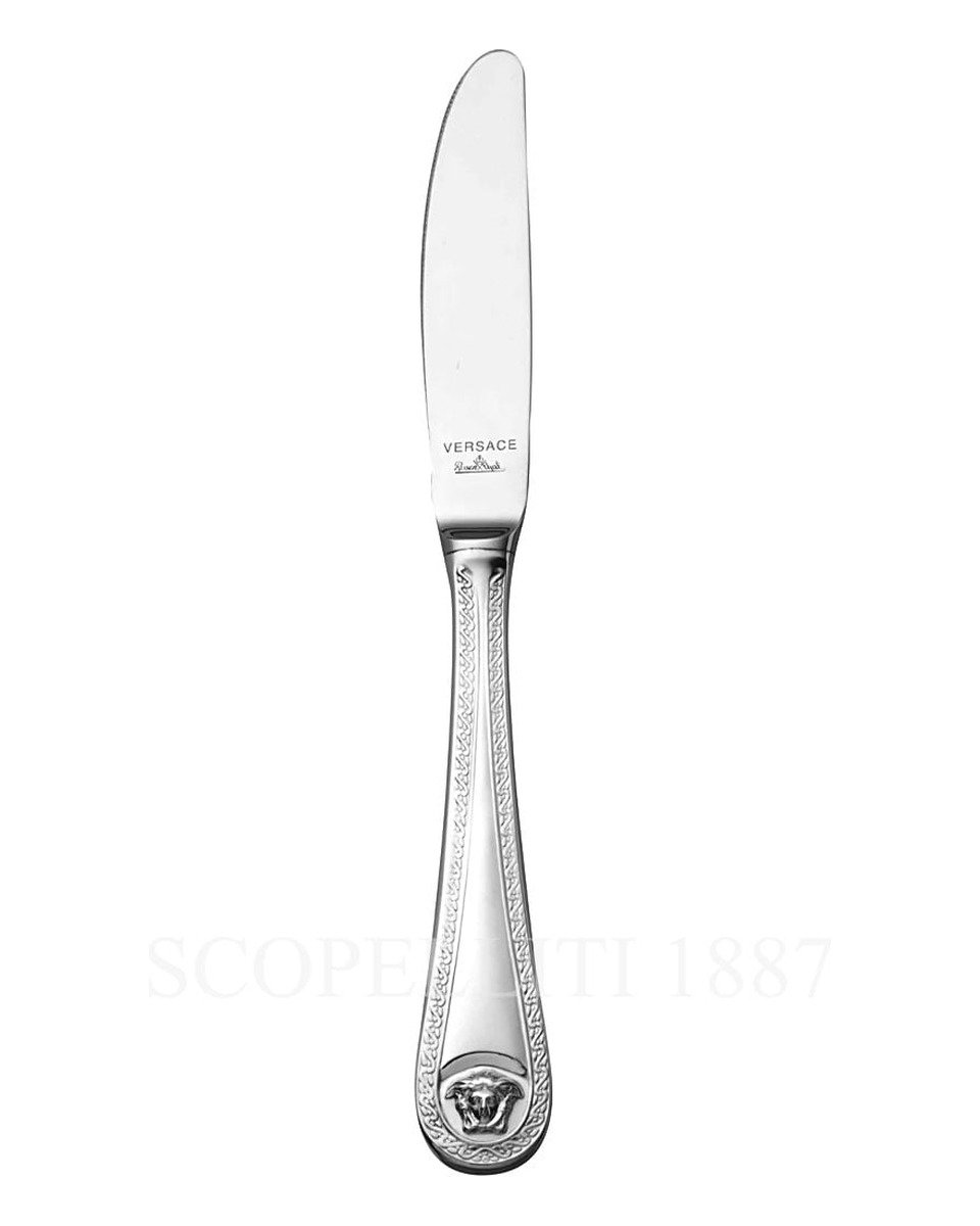 베르사체 Soup 국자 메두사 커트러리 실버 접시 Versace Soup Ladle Medusa Cutlery Silver Plated 02204
