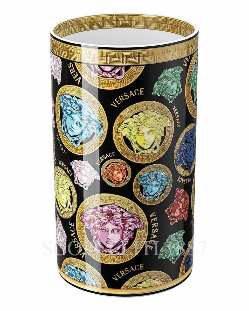 베르사체 NEW 화병 꽃병 18 cm 메두사 Amplified Multicolour Versace NEW Vase 18 cm Medusa Amplified Multicolour 02316