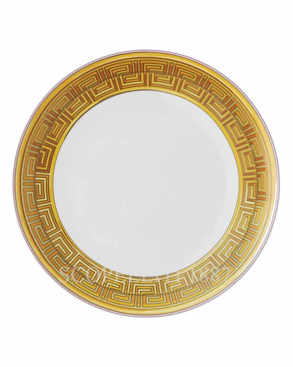 베르사체 디너접시 메두사 Amplified 골든 Coin Versace Dinner Plate Medusa Amplified Golden Coin 02403