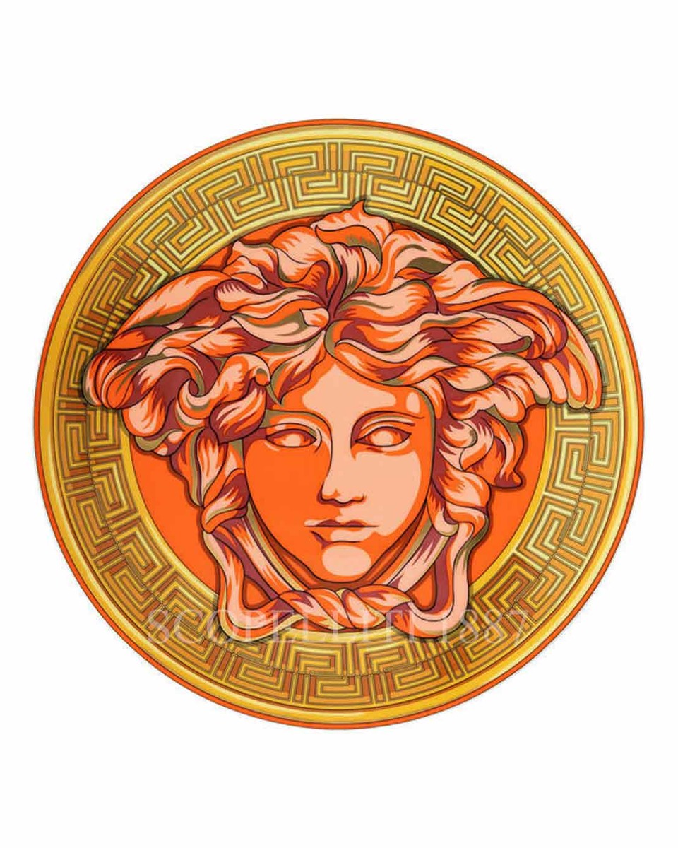 베르사체 Presentation 접시 메두사 Amplified 오렌지 Coin Versace Presentation Plate Medusa Amplified Orange Coin 02408