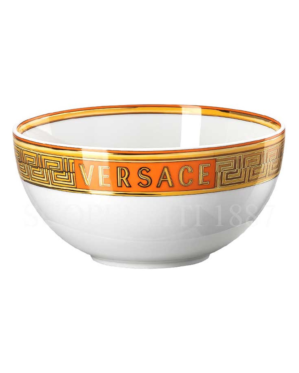 베르사체 디너접시 메두사 Amplified 오렌지 Coin Versace Dinner Plate Medusa Amplified Orange Coin 02424