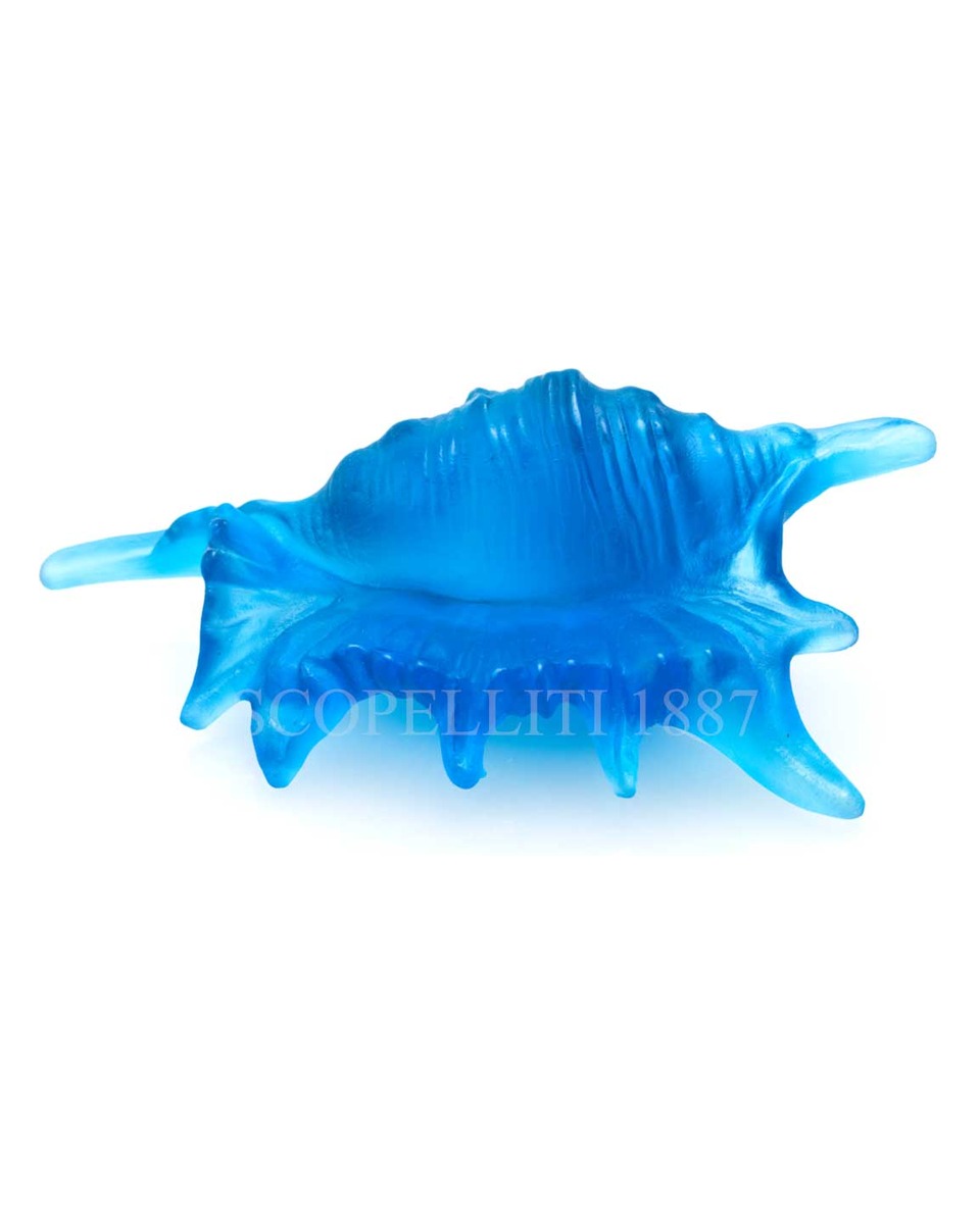 DAUM 크리스탈 Seashell Mer de Corail 블루 Small Daum Crystal Seashell Mer de Corail Blue Small 02574