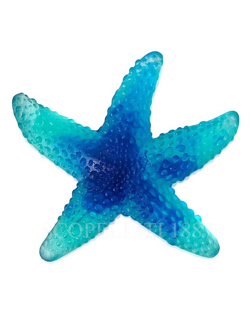 DAUM 크리스탈 Starfish Mer de Corail 블루 Daum Crystal Starfish Mer de Corail Blue 02575