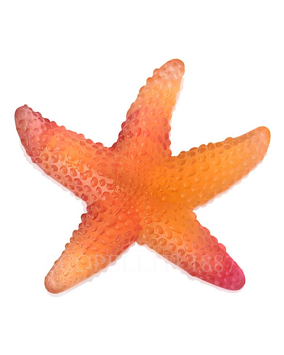 DAUM 크리스탈 Starfish Mer de Corail Amber Red Daum Crystal Starfish Mer de Corail Amber Red 02576