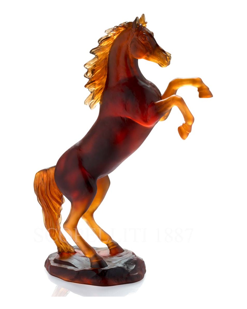 DAUM Dandys Andrew Greyhound Amber 리미티드 에디션 Daum Dandys Andrew Greyhound Amber Limited Edition 02585