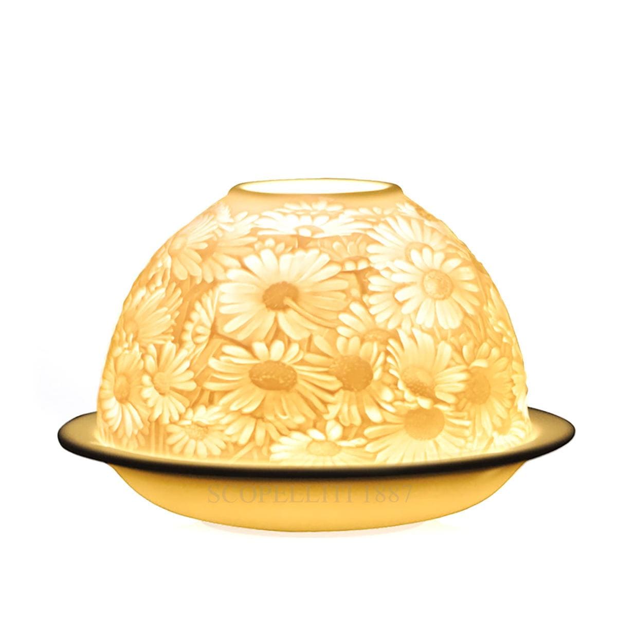 베르나르도 Bernardaud Votive Daisies 2127/6555 1/2