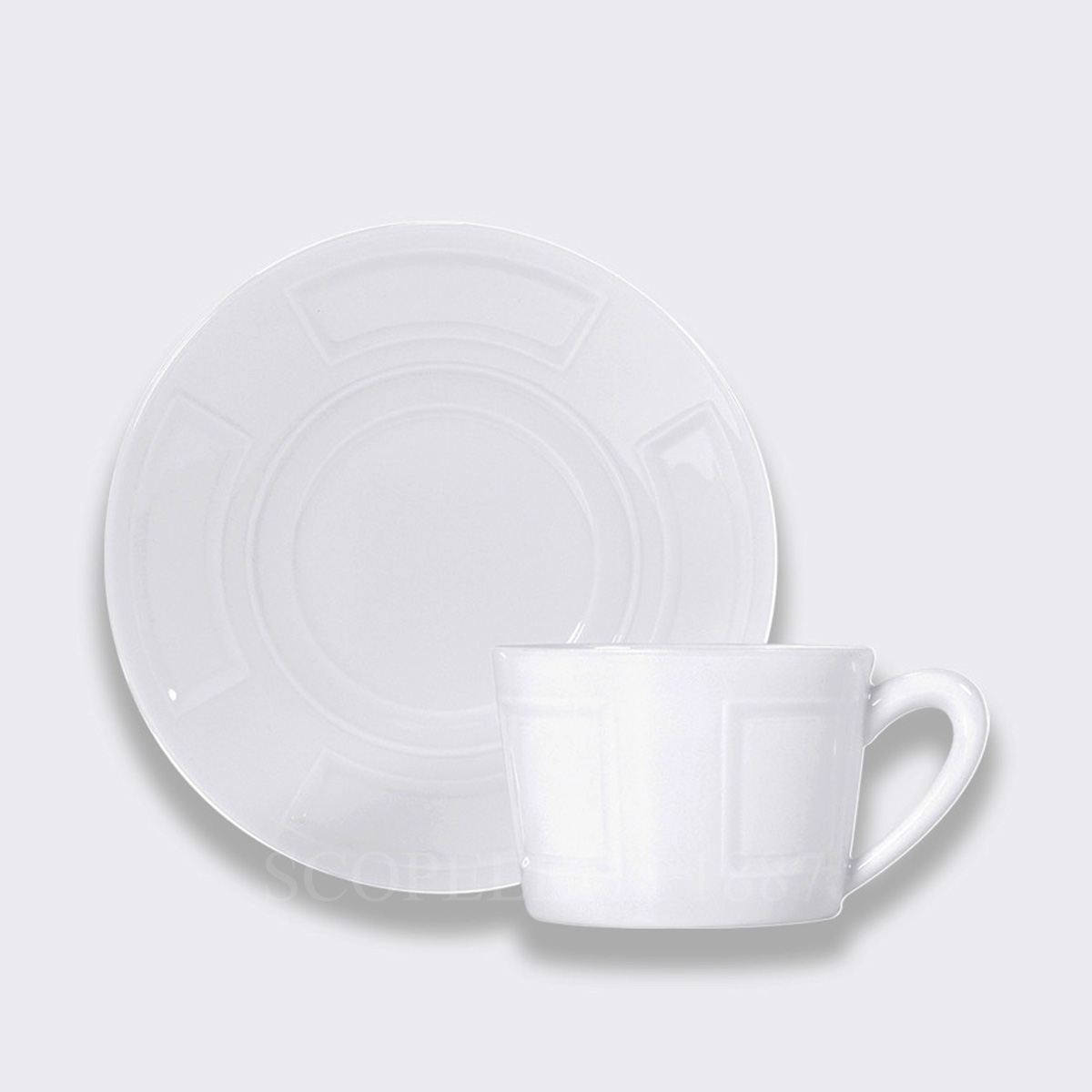 베르나르도 Bernardaud Naxos Tea Cup and Saucer 0510 / 89 1/2