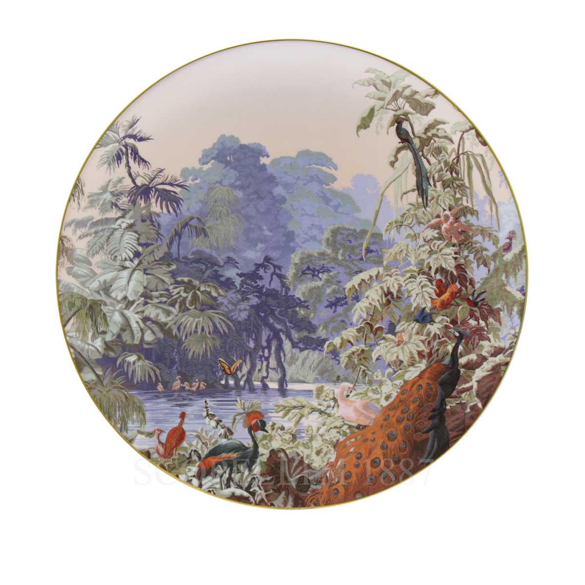 하빌랜드 Haviland Le Brésil Presentation Plate 31855 548 0029 C1