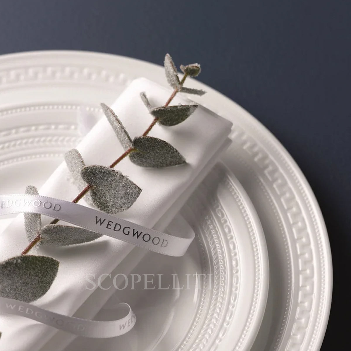 웨지우드 Wedgwood Intaglio Soup Plate 5C104005105 2/3