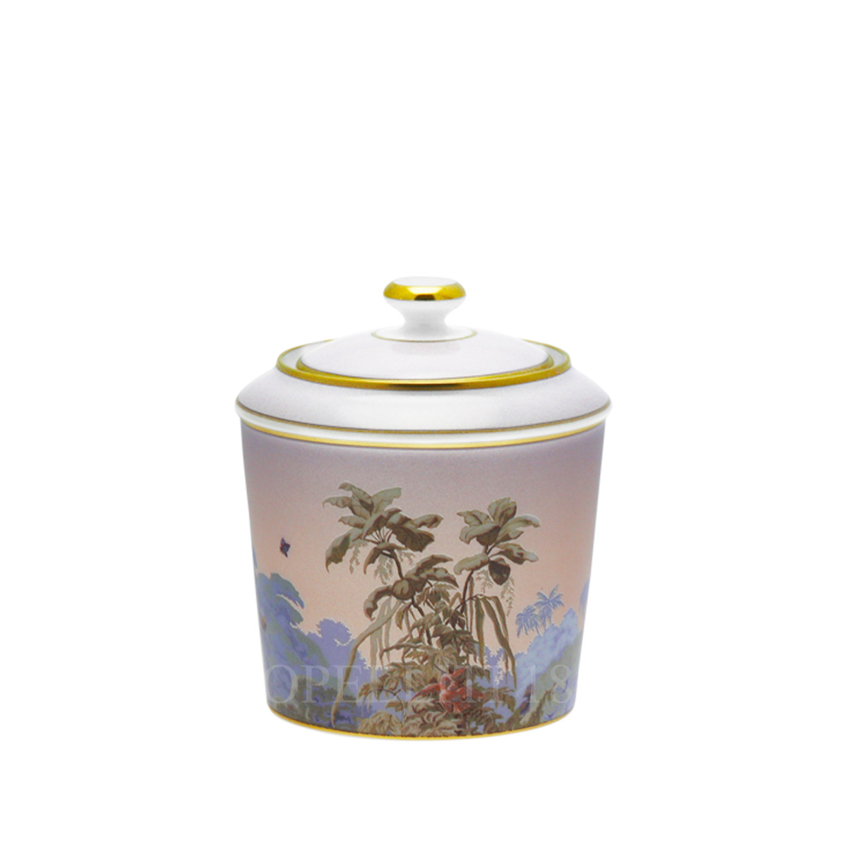 하빌랜드 Haviland Le Brésil Sugar Box 31855 523 0421 C1