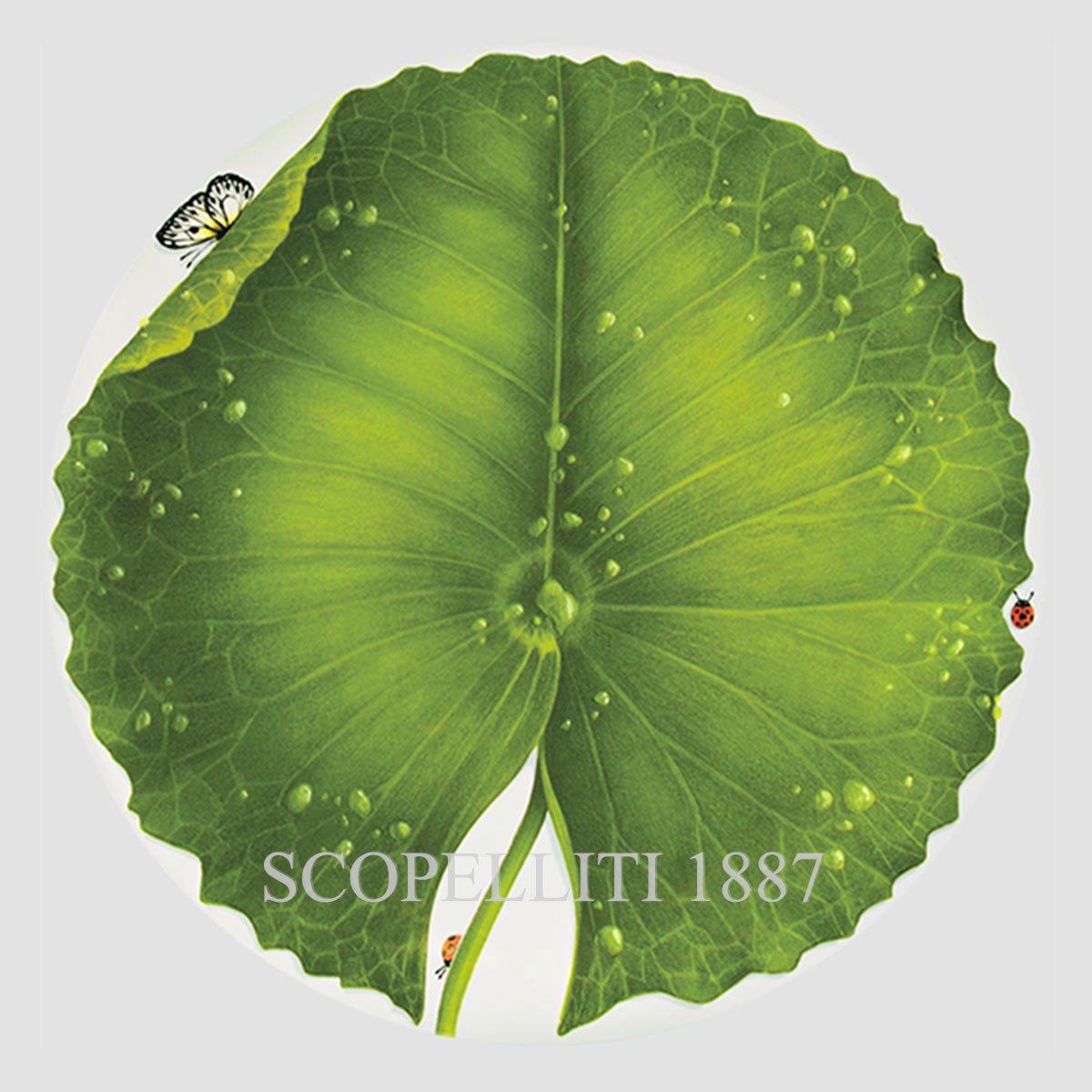 타이투 밀라노 Taitù Freedom Round Platter 1-899