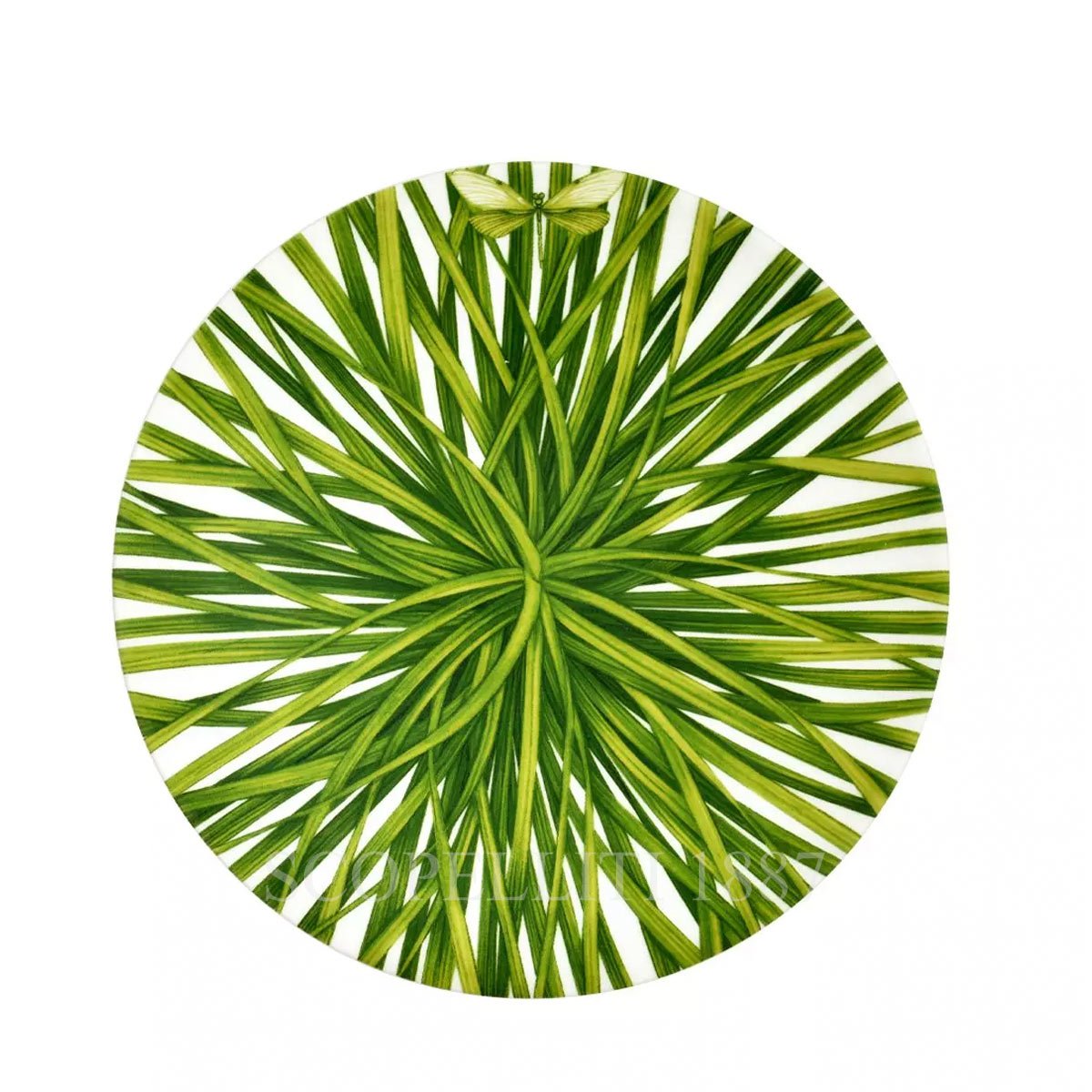 타이투 밀라노 Taitù Life In Green Dessert Plate - Set of 4 12-13-1