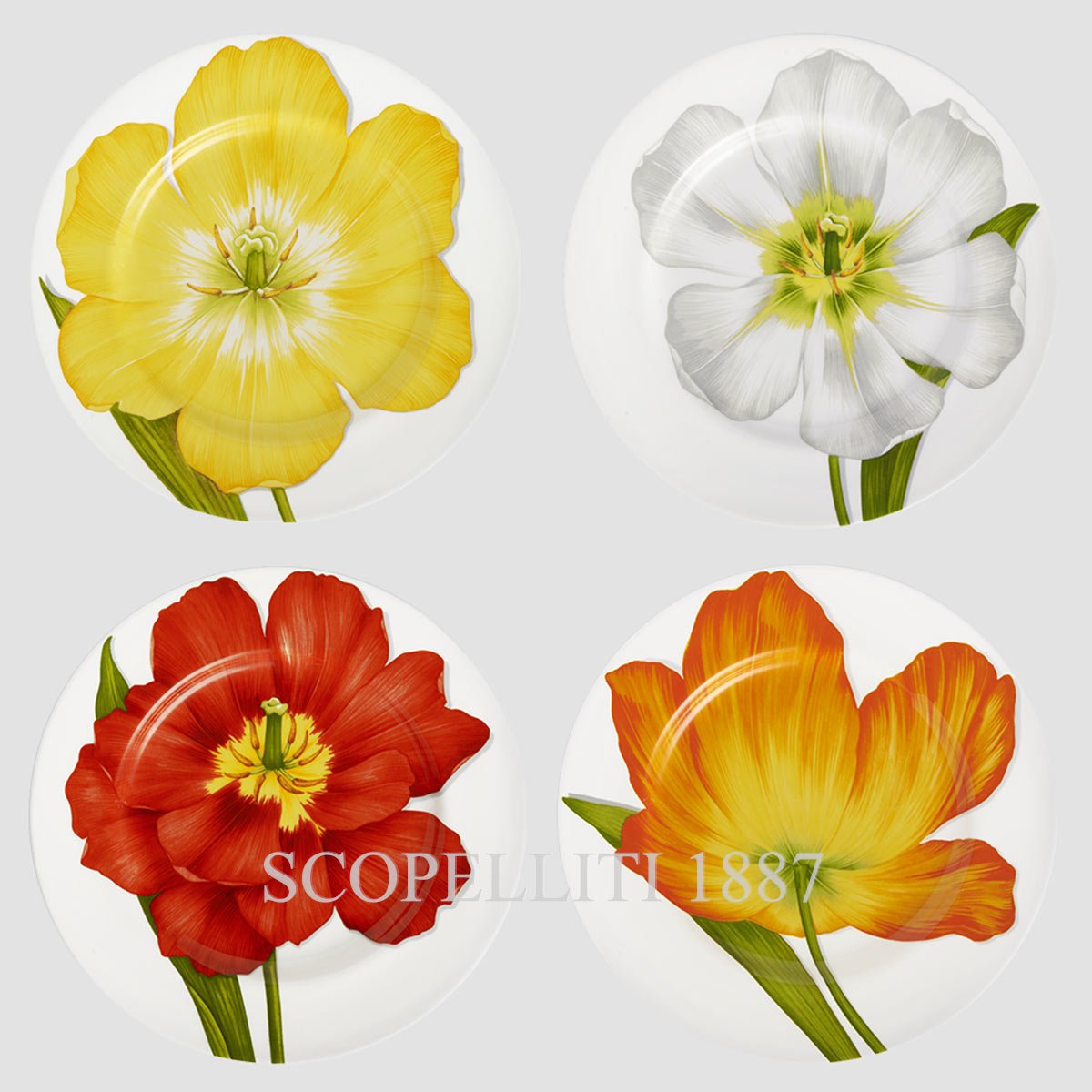 타이투 밀라노 Taitù Freedom Dinner Plates Set of 4 assorted 1월-80
