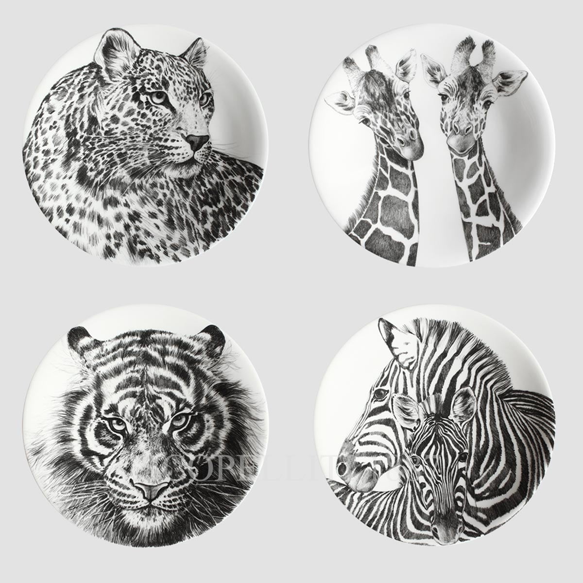 타이투 밀라노 Taitù Wild Spirit Dessert Plates - Set of 4 2001-01-12