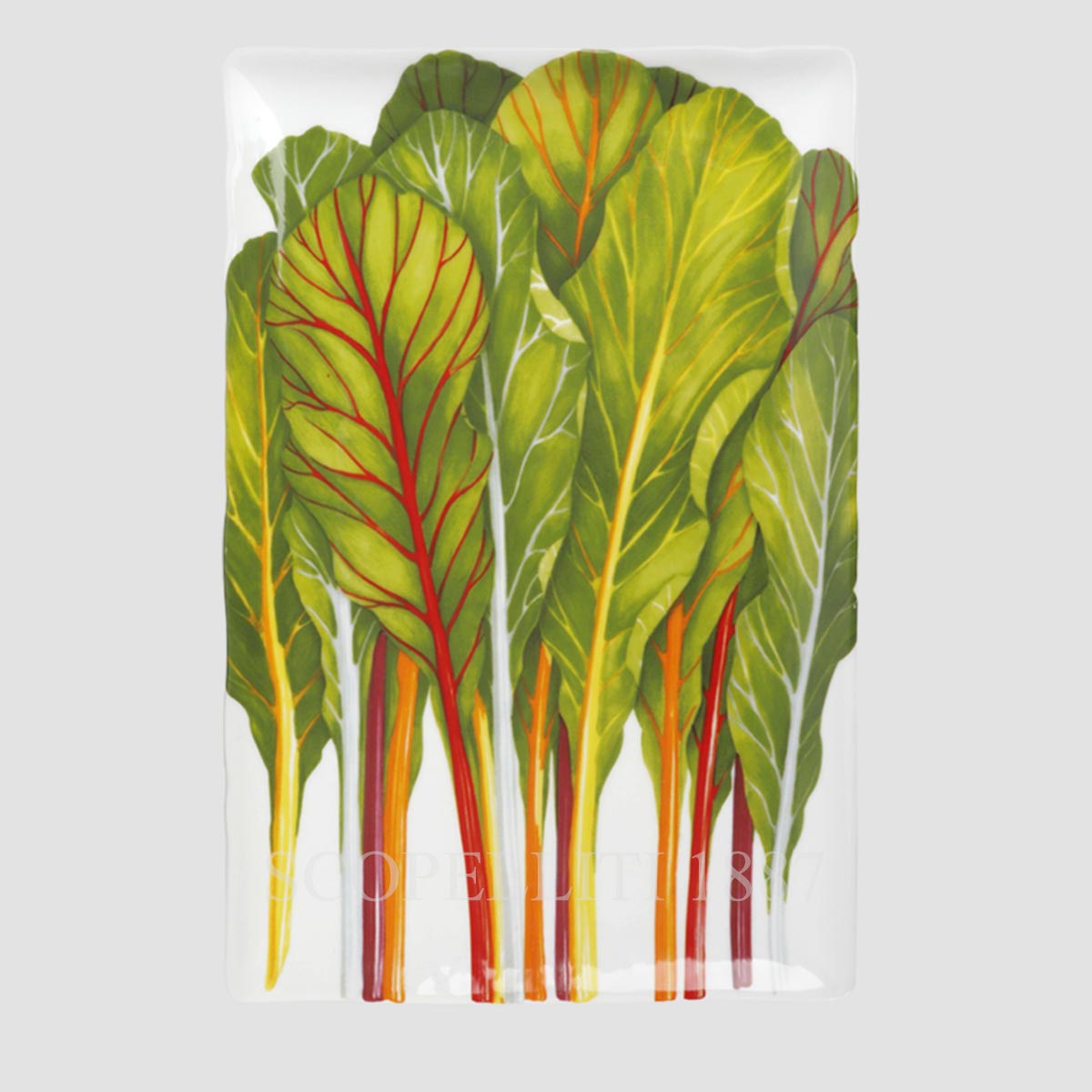 타이투 밀라노 Taitù Vegetables Rectangular Platter Herbs 33x22 cm 2009-08-12