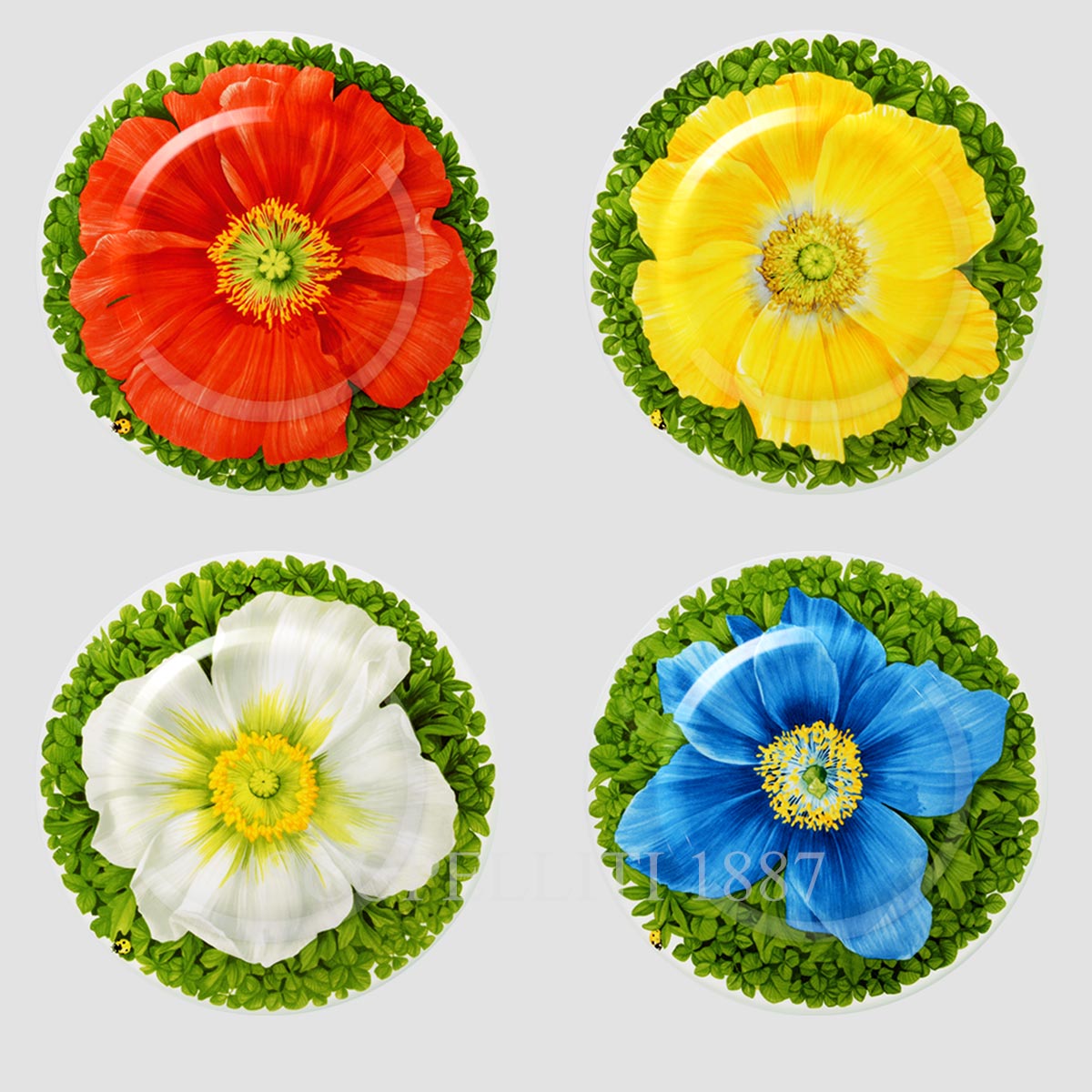 타이투 밀라노 Taitù Prati Italiani Dessert Plate - Set of 4 2월-91 1/5