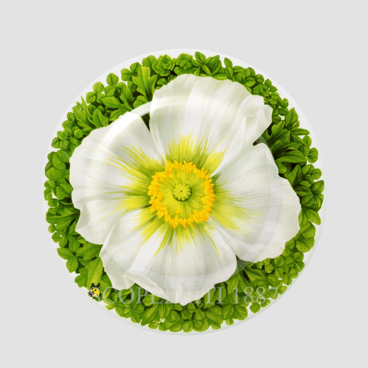 타이투 밀라노 Taitù Prati Italiani Dessert Plate - Set of 4 2월-91 4/5