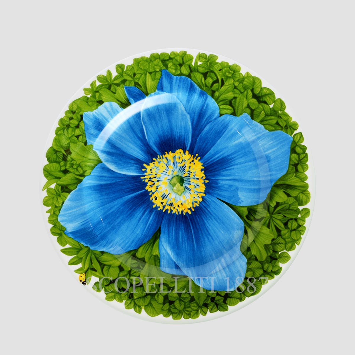 타이투 밀라노 Taitù Prati Italiani Dessert Plate - Set of 4 2월-91 5/5