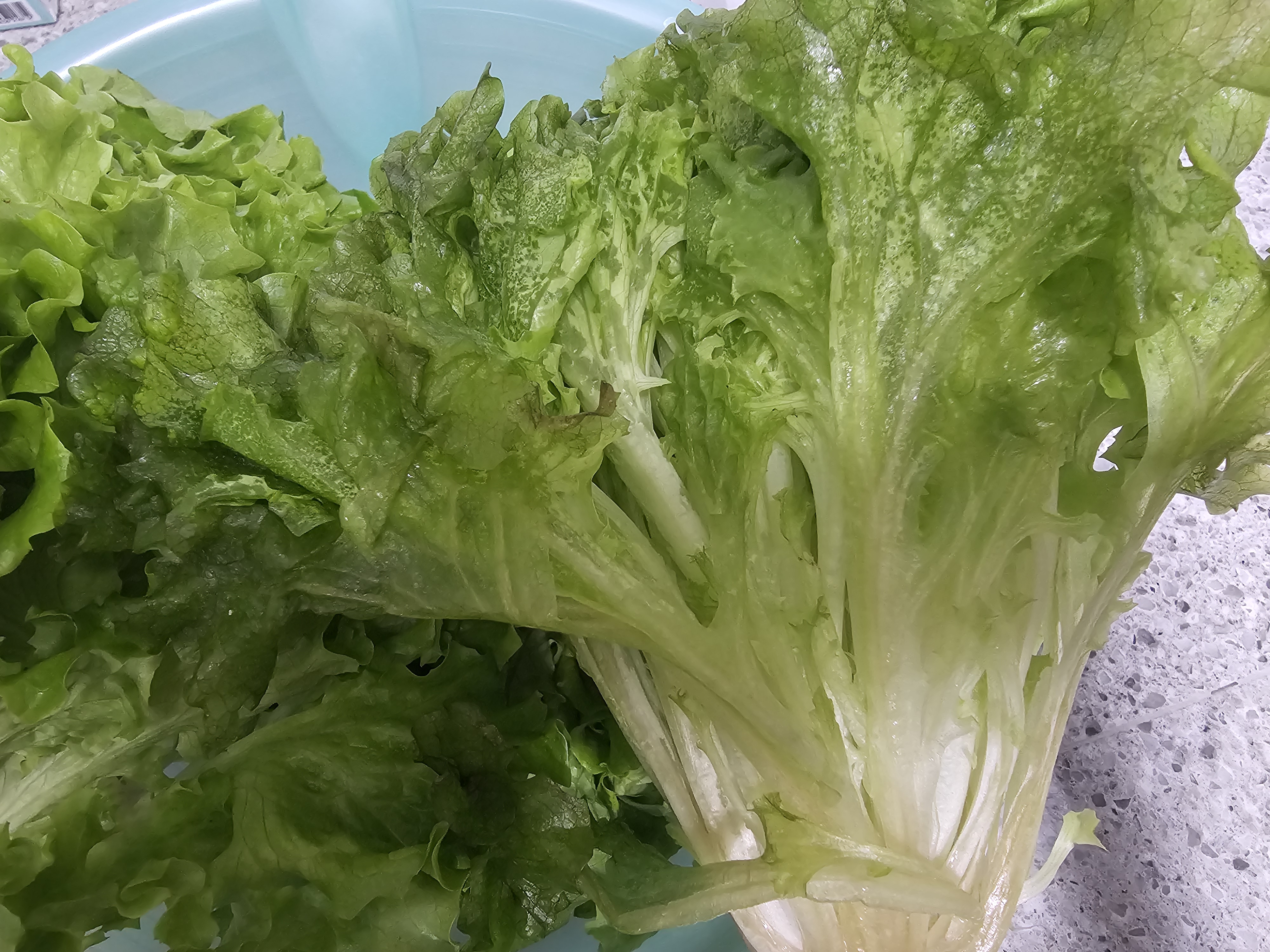 상품 후기 이미지