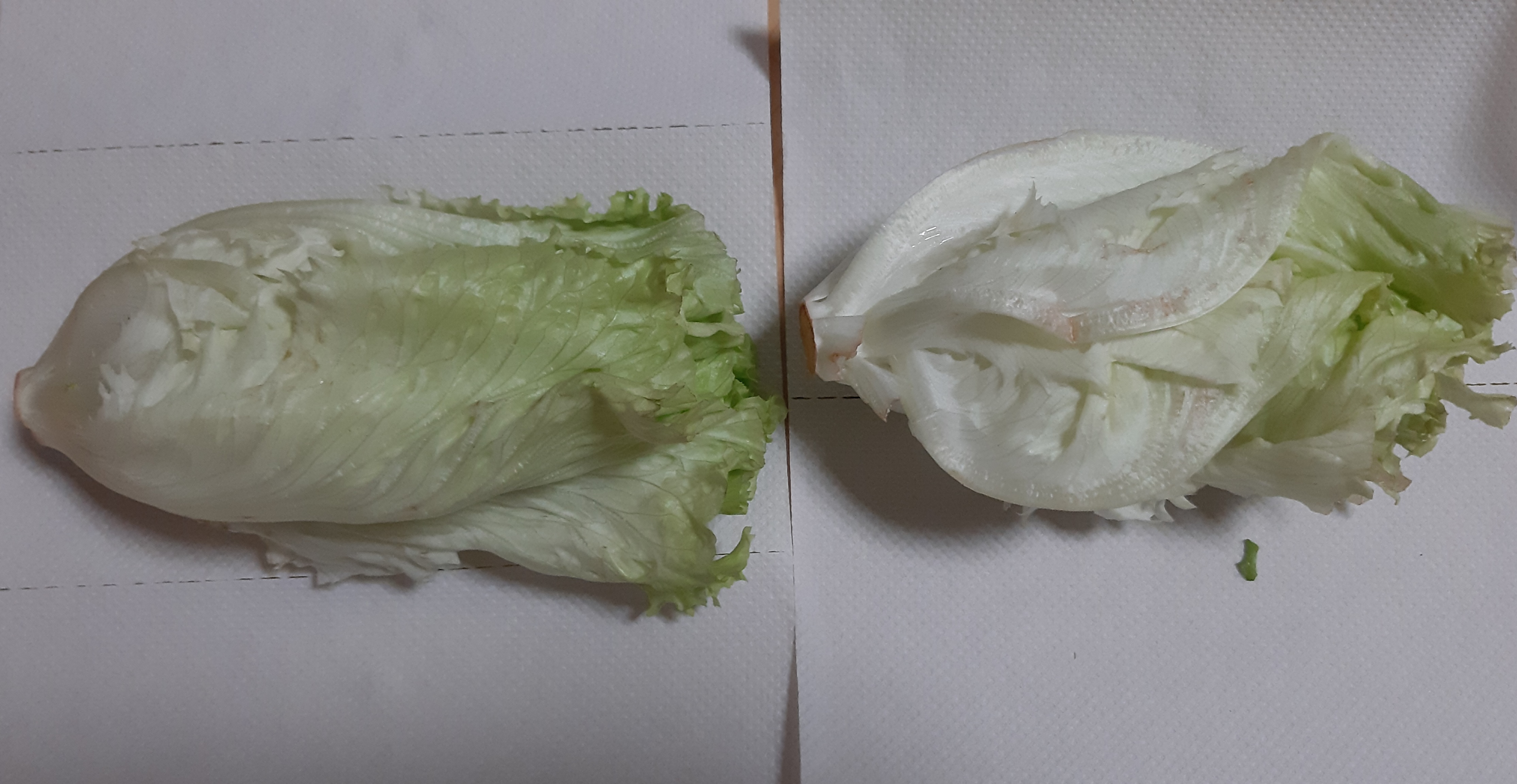 상품 후기 이미지
