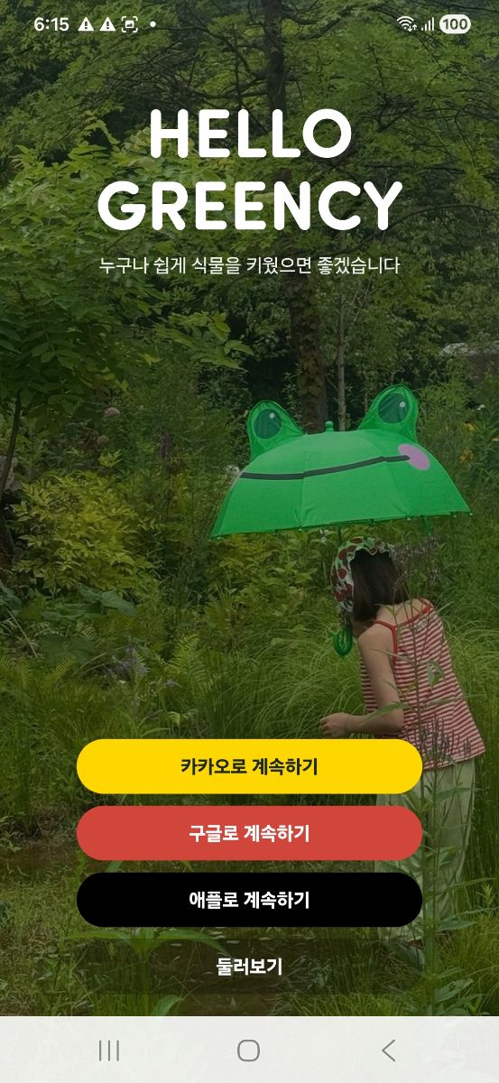 게시글 사진 1