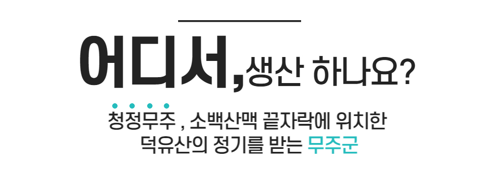 악세사리 상품 이미지-S1L35