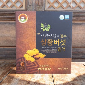 [변산농장] 산양산삼 품은 장수상황버섯 진액(70mlx30봉지) [총 2100ml]