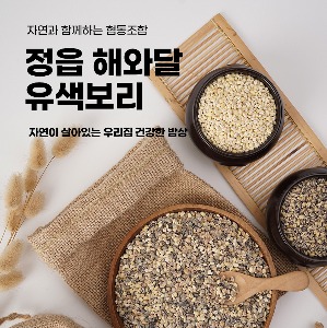 [해와달] 정읍산 유색보리 2kg